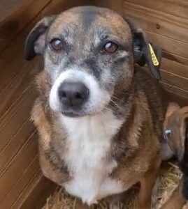 FIONA - reserviert TH Iserlohn - vermittelt