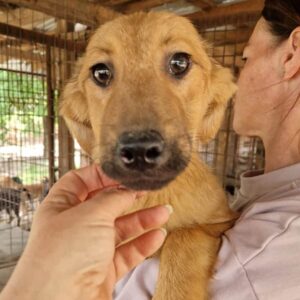 MATILDA (♀) - ausgereist zu TINO