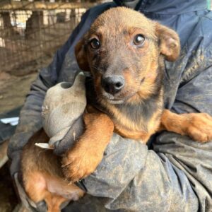 FYNN – vermittelt Kathleen Müller