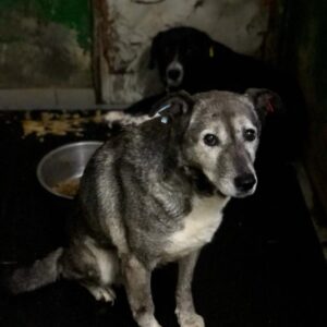 ENFY - seelischer Notfall - reserviert Nadine H. - vermittelt