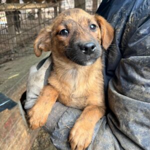 MAUSI – vermittelt Kathleen Müller