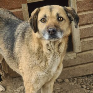 EYLA - vermisst 08/23