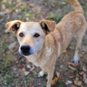 CAPPY - vermisst 05/24