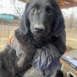 SUMMER - auf PDR PS im PLZ Bezirk 99 - vermittelt