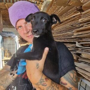 GALAXY - ausgereist zur Tierhilfe Lebenswert