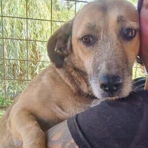 MAREN - auf PDR PS im PLZ Bezirk 64 -vermittelt