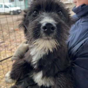 IMMI - ausgereist zum TST Rösrath