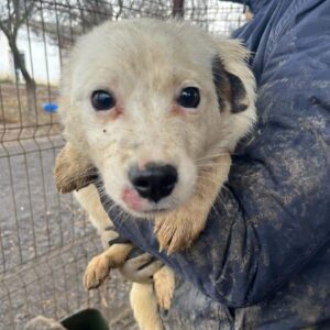 LANO - ausgereist zum TH Wannigsmühle