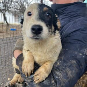 FRIDA - auf PDR PS im PLZ Bezirk 95 *ausgereist*