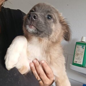 TINA - vermittelt MD