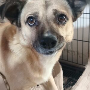 KLEX - ausgereist zum TH Wannigsmühle