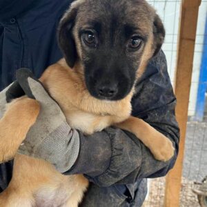 SIMSALA - vermittelt Manuela