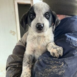 AYA - vor Ort vermittelt 01/24