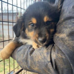 YAFAH - vor Ort vermittelt 01/24