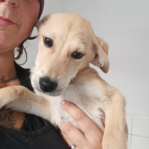 ANTON - vermittelt MD