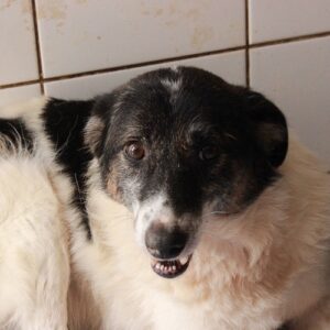 FUTO - vermisst 11/2022