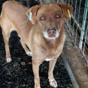 ANTONY - vermisst 11/24