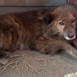 EGON - reserviert Sarah - vermittelt