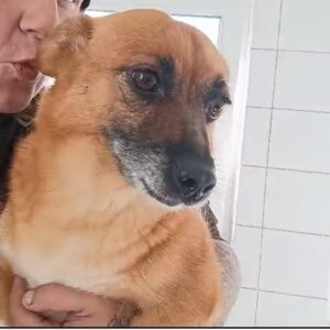 CARAMEL - reserviert 4animals