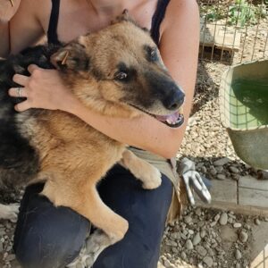 YAKKO - reserviert Manuela - vermittelt