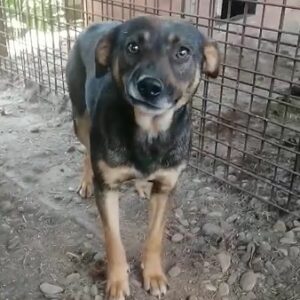 TUPPI - vermisst 11/24