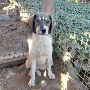 NALA - vermittelt MD