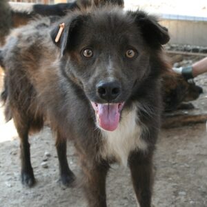 KARLHEINZ - reserviert Manuela - vermittelt