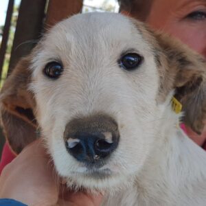 JAN - ausgereist zum TST Rösrath