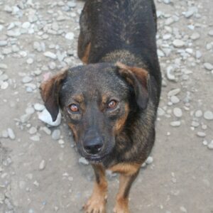 VAPIANO - reserviert TST Rösrath - vermittelt