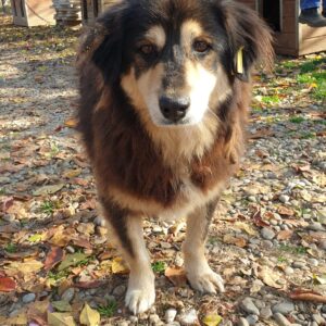 SENTO - vermisst 09/23