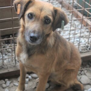 MACI - auf PDR PS im PLZ Bezirk 32