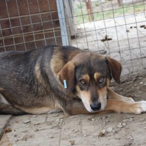 MARX - vermisst 11/24