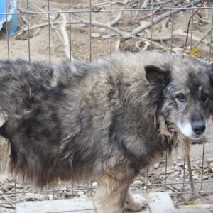 MARLE - vermisst 04/23