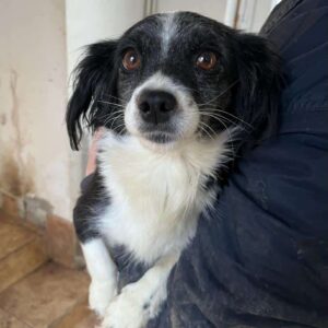 MINMIN - vermittelt MD