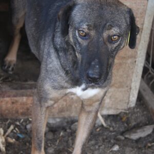 ELIANA - vermisst 03/2022