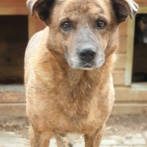 FLORIAN - vermisst 04/2023