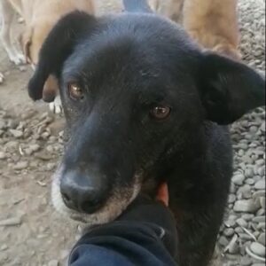 MACHEO - reserviert Betty vermittelt