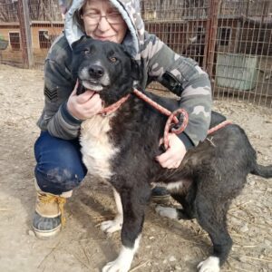 CHAMB - Notfall - schwere Beinfehlstellung hinten beidseitig - reserviert Anna vermittelt