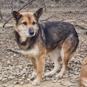 BIBIANA - vermisst 11/24