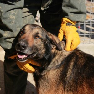 NEERO - reserviert Manuela vermittelt