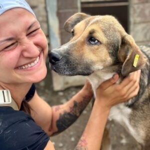 HAMILTON (♂) - vermittelt MH