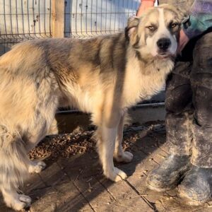 BEETHOVEN - vermittelt Manuela