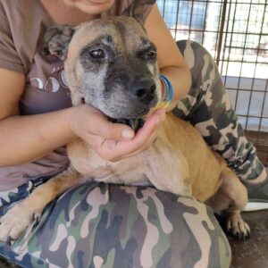 XENA - RBB 15.11.2022