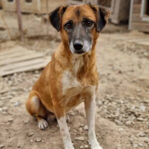 LENEA - reserviert TH Tuttlingen - vermittelt