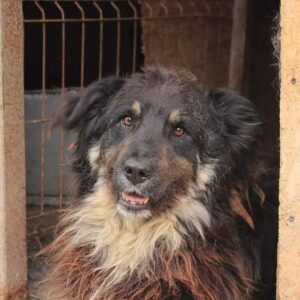 TUKK - HSH Mix - reserviert Manuela - vermittelt