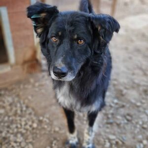 TITUS - reserviert Manuela vermittelt