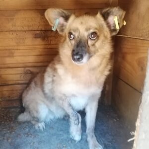 RÖSCHEN - RBB 09/21