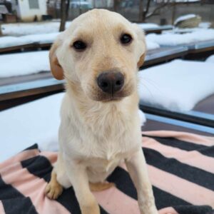 TAIKA (♀) - ausgereist zum Kinder- und Tierschutzhof Hahnenberg