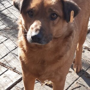 EMRE - reserviert TH Filderstadt - vermittelt