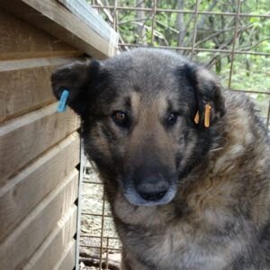 JUSTIN - vermisst 11/24